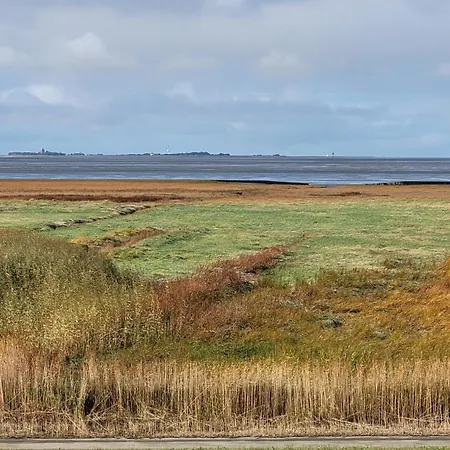 Apartment Traumhafte Ferienwohnung, Meerblick, Erste Reihe Duhnen